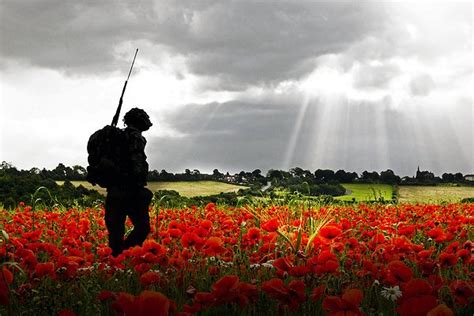 poppy war deutsch